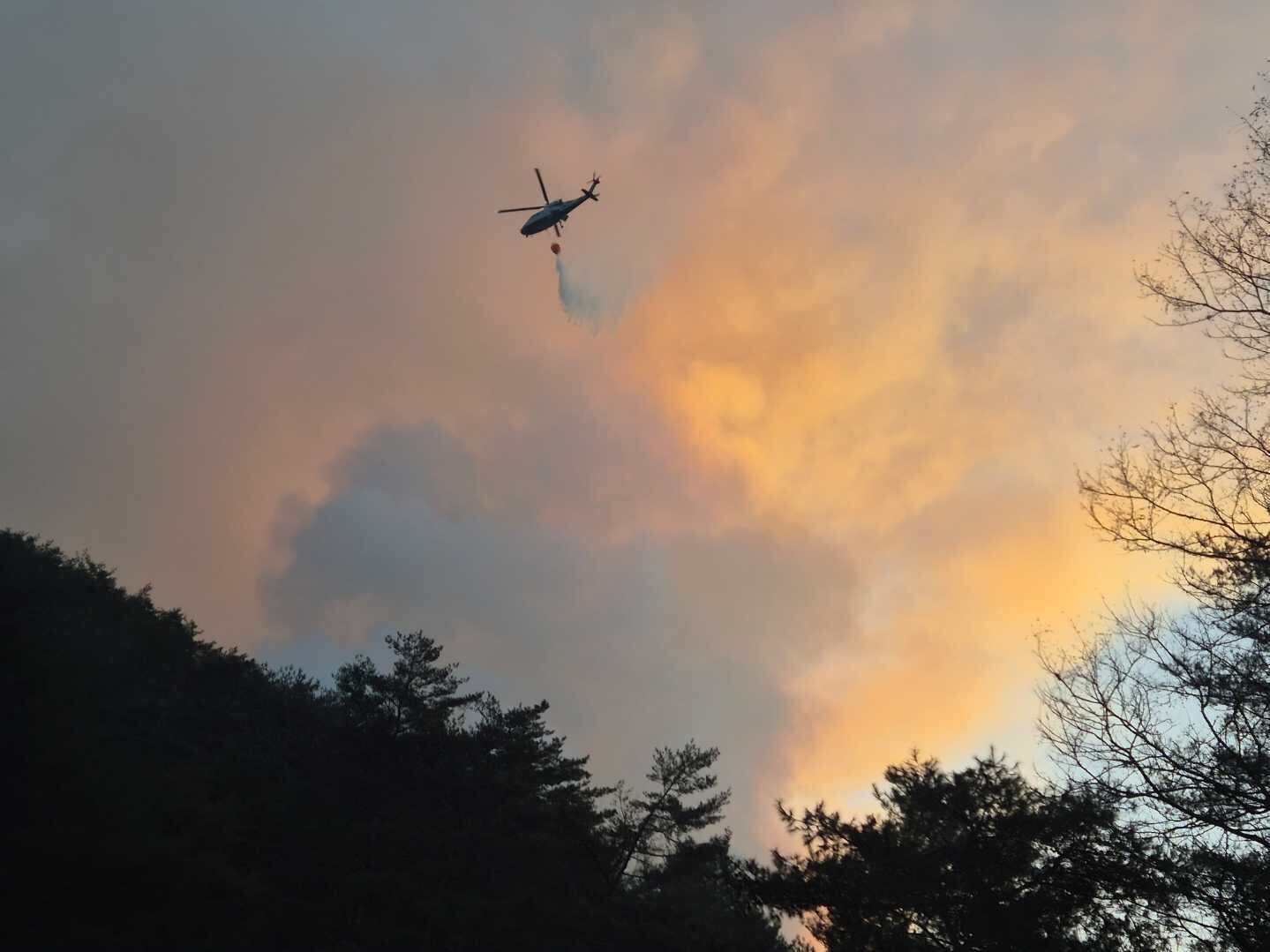 Wildfire in Inje Extinguished After 17 Hours, 36 Hectares Destroyed